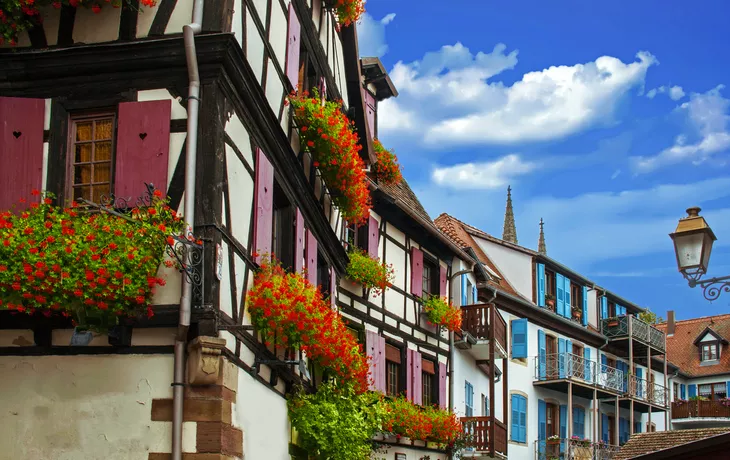 typische elsässische Fachwerkhäuser in Obernai, Frankreich - ©guitou60 - stock.adobe.com