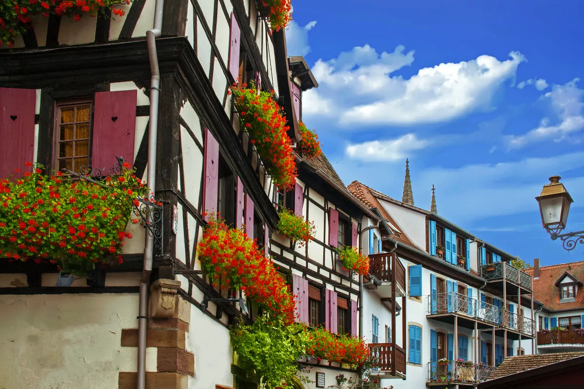 typische elsässische Fachwerkhäuser in Obernai, Frankreich - ©guitou60 - stock.adobe.com