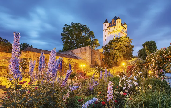 © Michael Leukel - Eltville