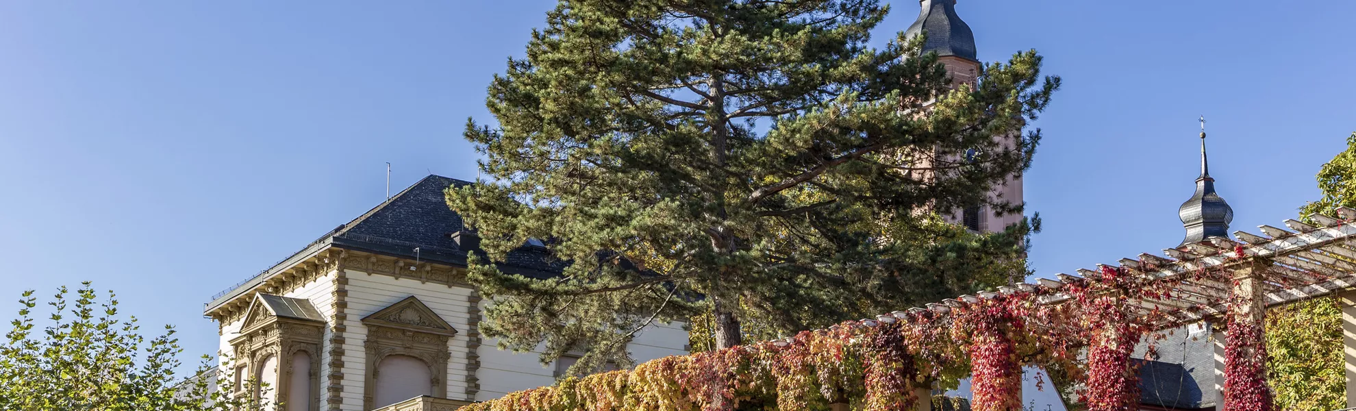 Eltville im Herbstkleid