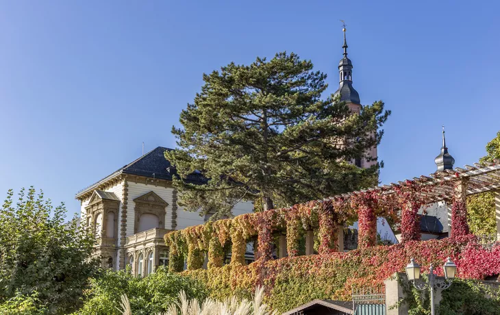 Eltville im Herbstkleid