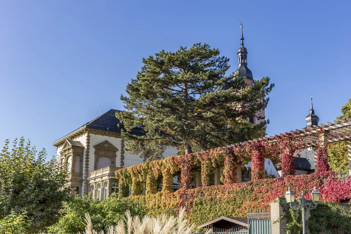 Eltville im Herbstkleid