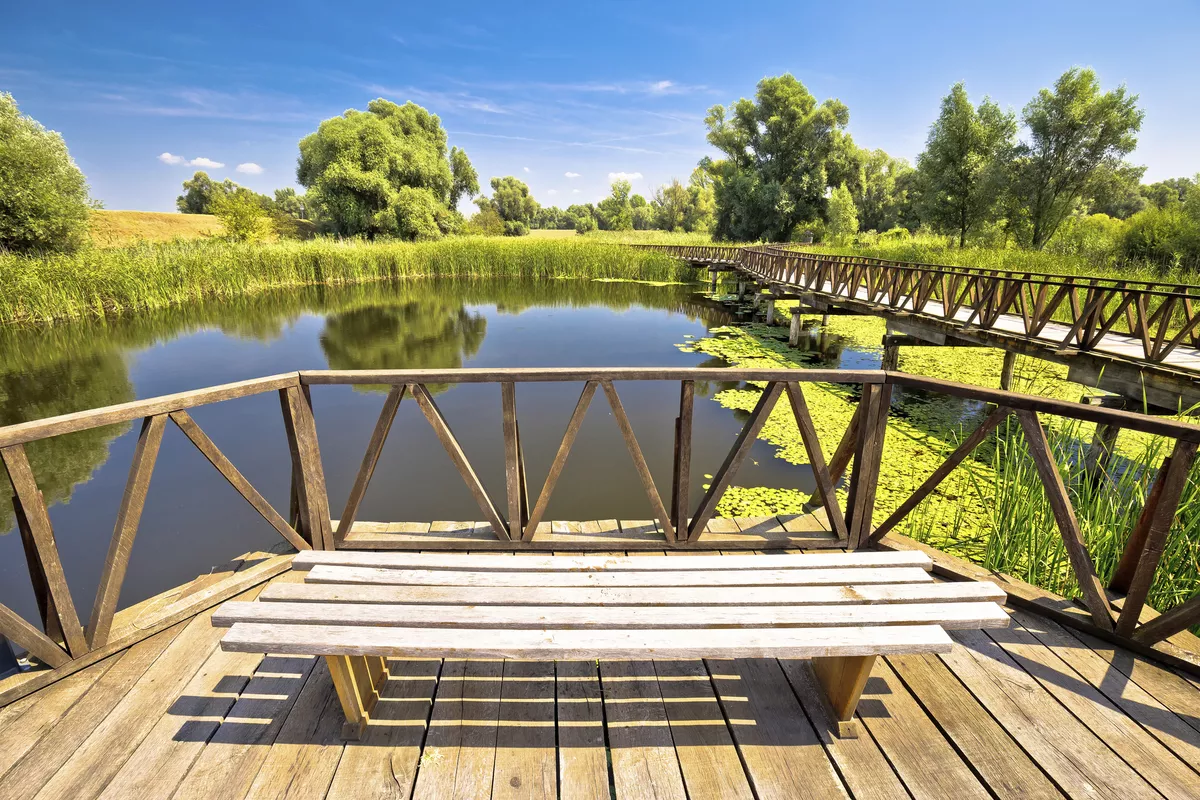Velofahrt bei Kinderdijk - © Copyright (c) 2015 leoks/Shutterstock. 