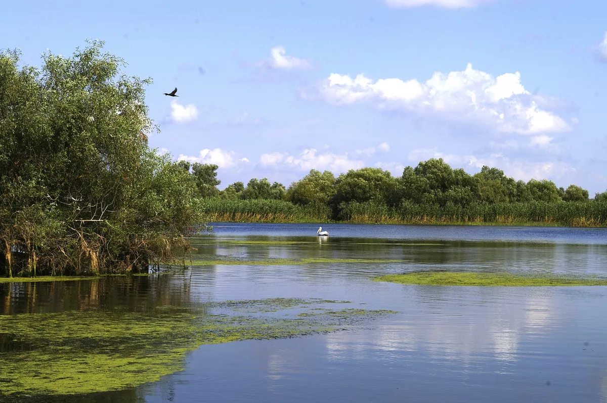 Safari auf Schienen - © Rovos Rail Tours