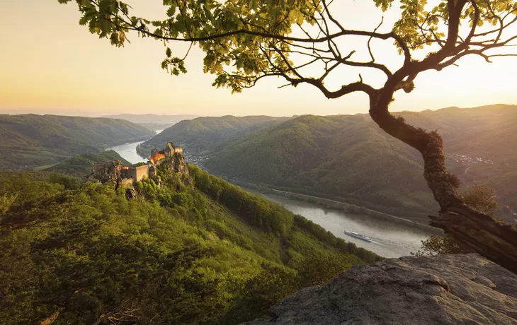 Nashorn im Madikwe-Wildreservat - © Chris - stock.adobe.com