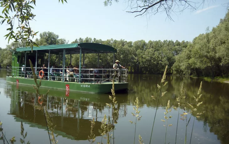 Safari - © soft_light - stock.adobe.com