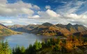 © great_photos - stock.adobe.com
