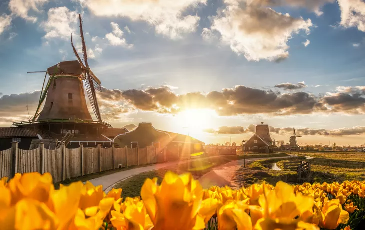 © samott - stock.adobe.com - Zaanse Schans in den Niederlanden