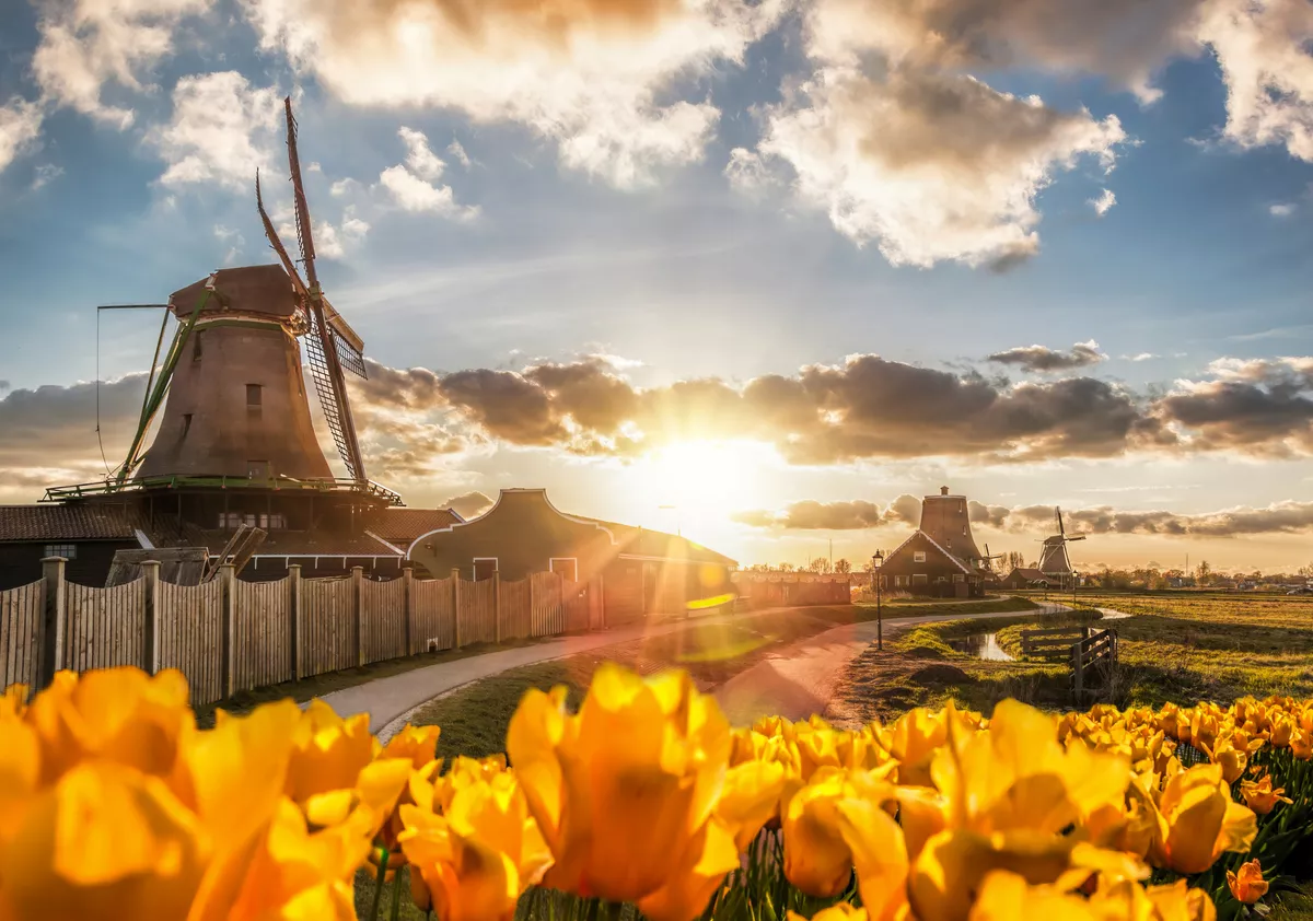 Zaanse Schans in den Niederlanden - © samott - stock.adobe.com