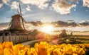 © samott - stock.adobe.com