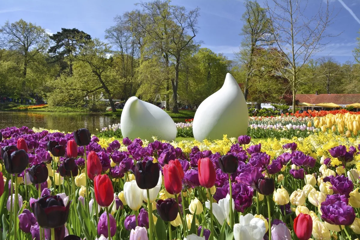 Keukenhof