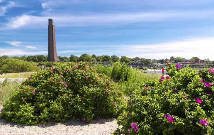 Kletterner Brüllaffe - © ©danielpankoke - stock.adobe.com