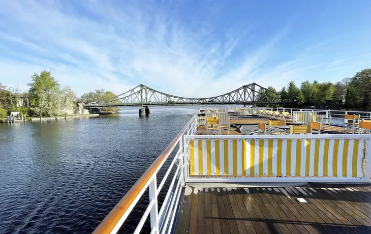 Brillenkaiman - © aussieanouk - Fotolia