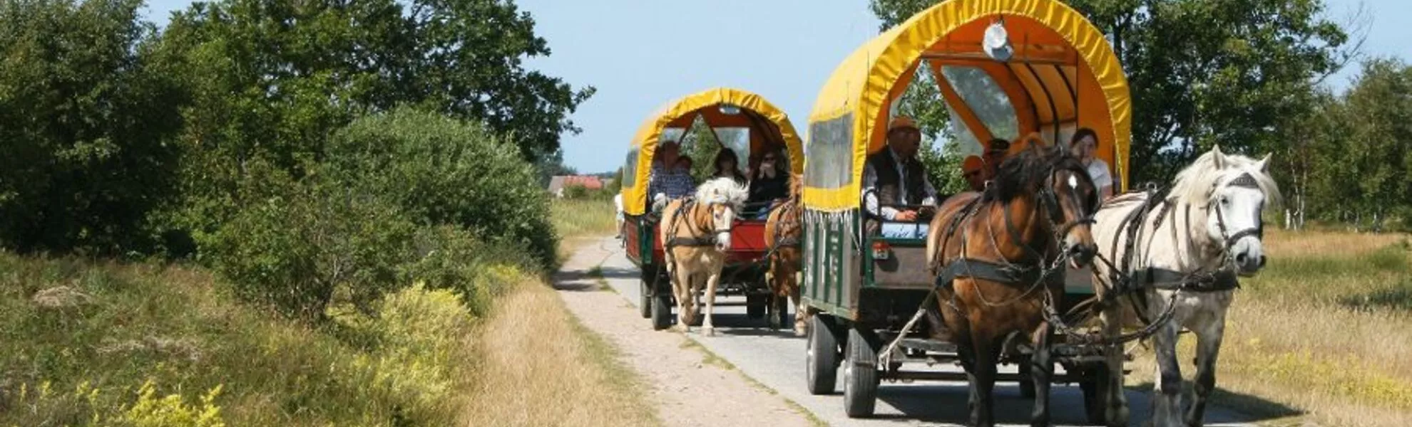 Kutschenfahrt auf Hiddensee