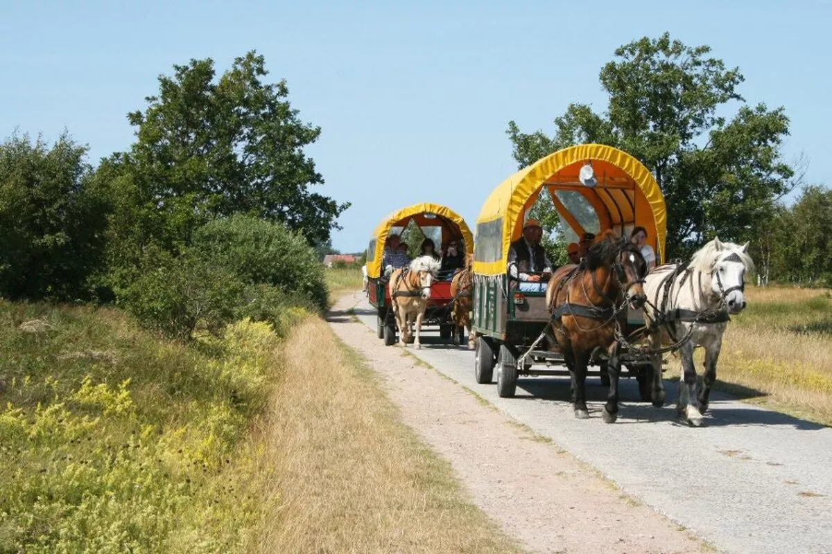 Kutschenfahrt auf Hiddensee