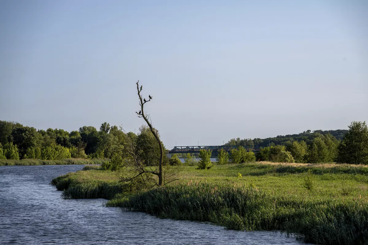 Entlang der Alten Oder