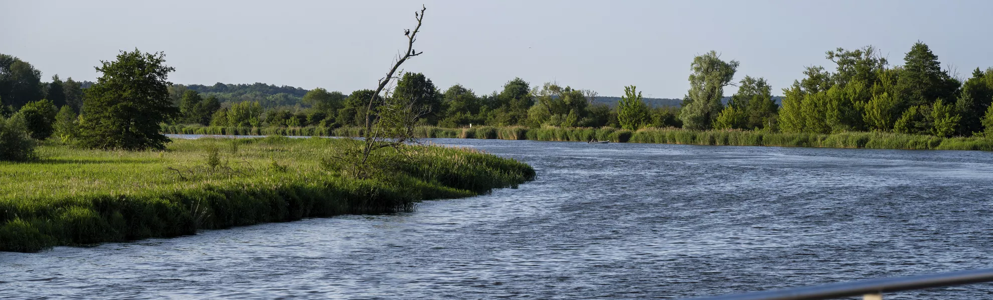 Entlang der Alten Oder