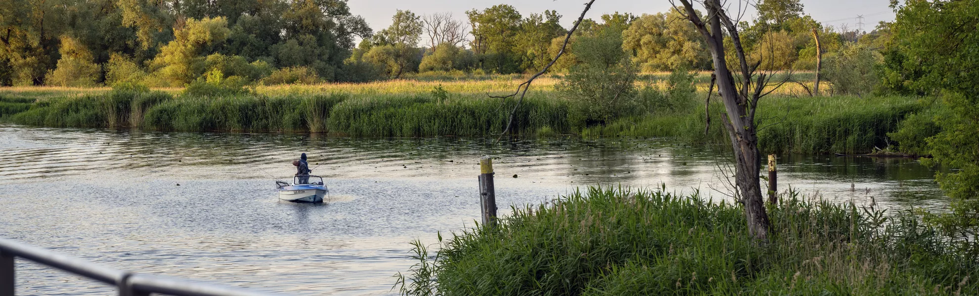 Entlang der Alten Oder