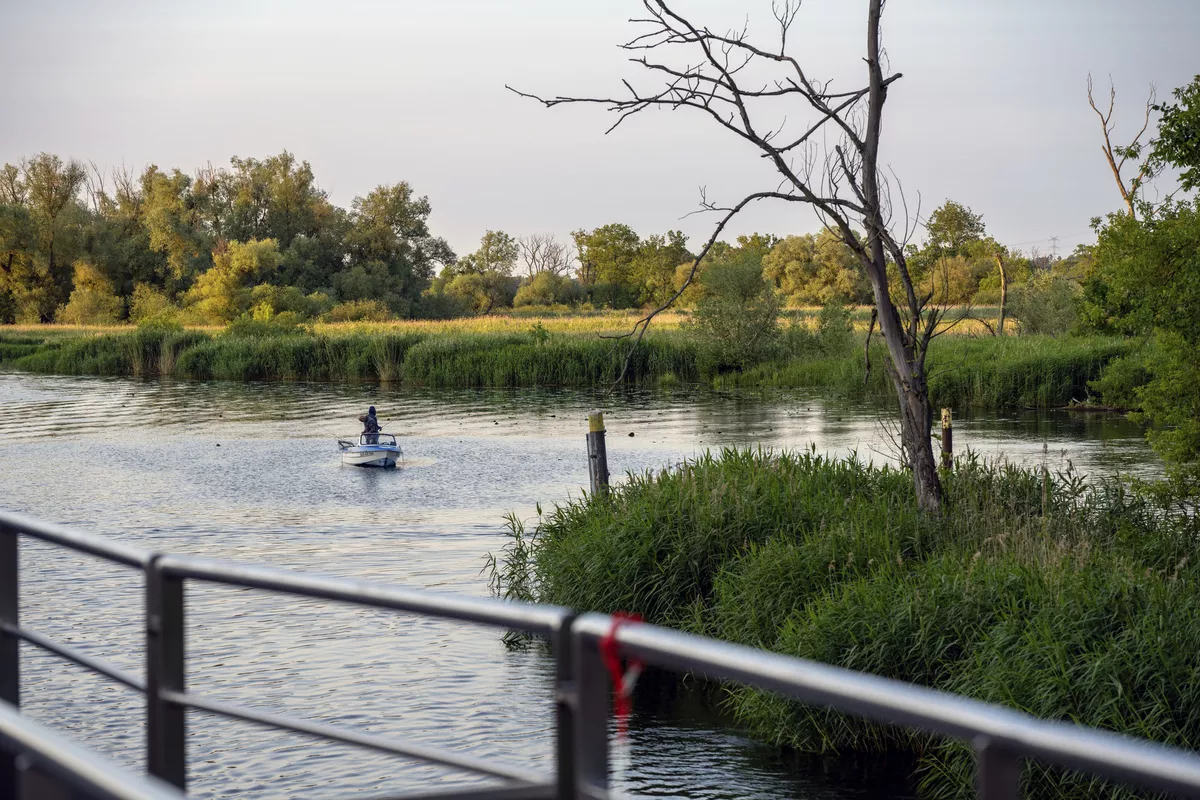 Entlang der Alten Oder