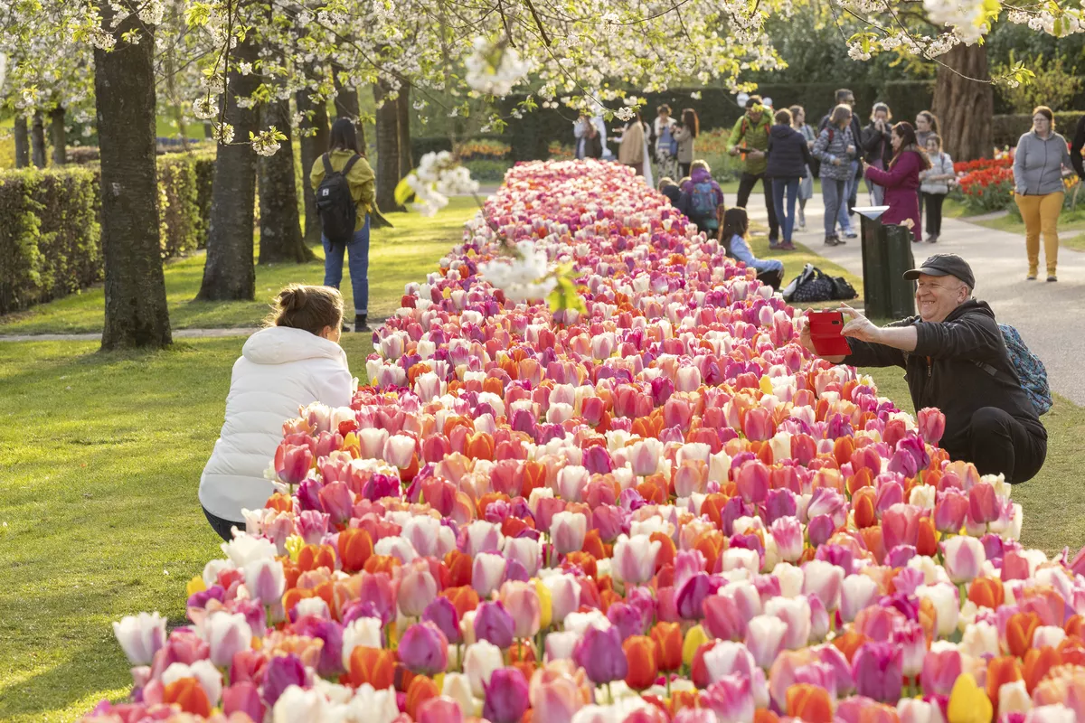 Keukenhof - © Sven van der Vlugt Fotografie
