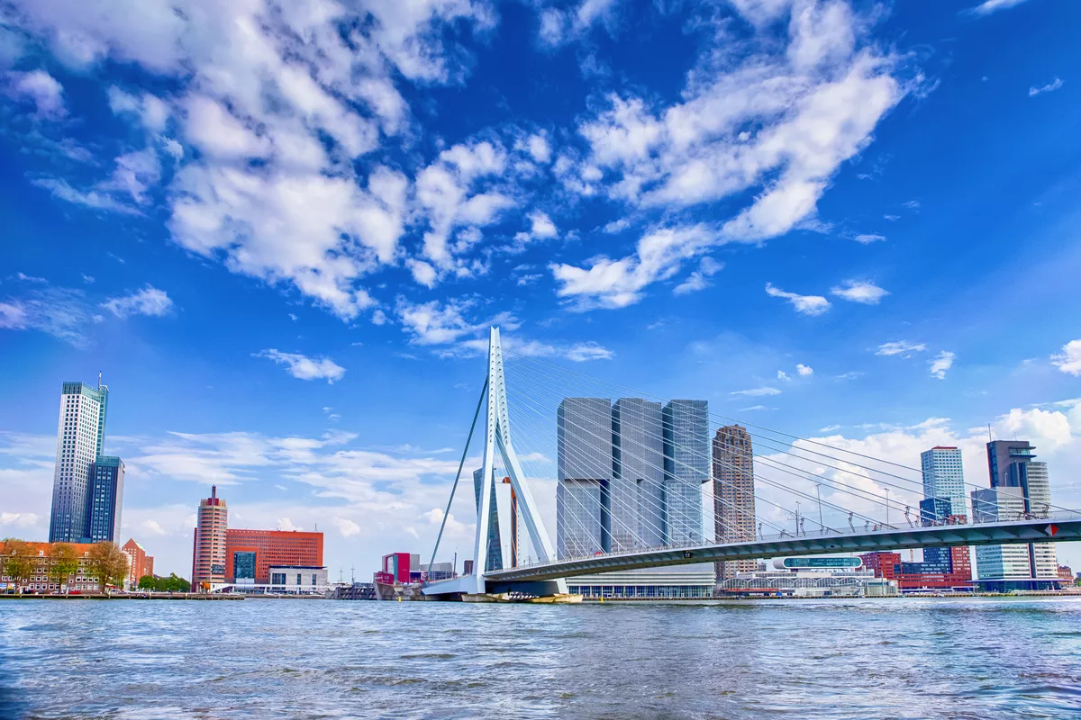 Erasmusbrücke (Schwanenbrücke) in Rotterdam - © danmorgan12 - stock.adobe.com