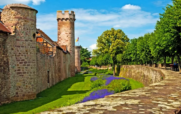 © hjschneider - stock.adobe.com - Burg in Obernai, Frankreich