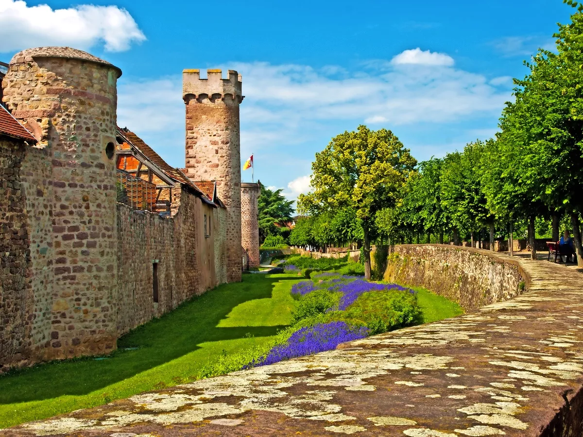 Burg in Obernai, Frankreich - © hjschneider - stock.adobe.com