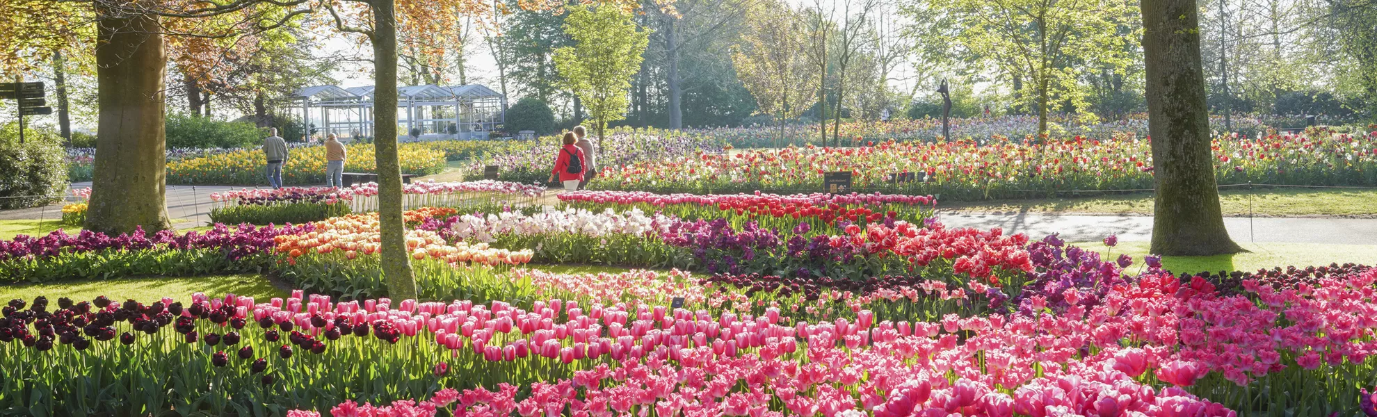 Keukenhof