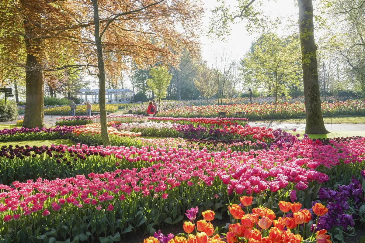 Keukenhof