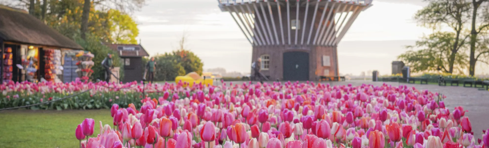 Keukenhof