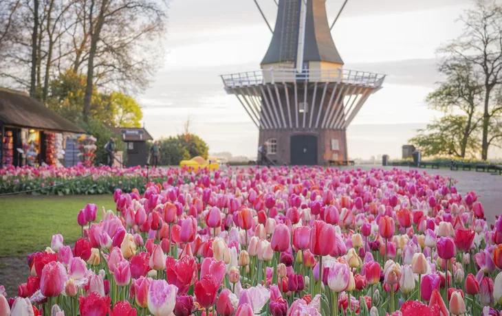 Keukenhof