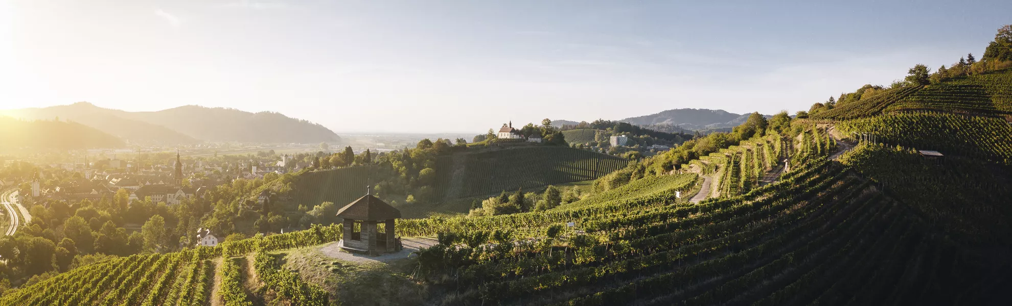 Badische Weinstrasse - © Chris Keller Schwarzwald Tourismus