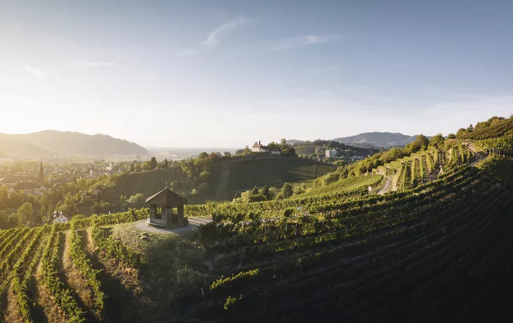 © Chris Keller Schwarzwald Tourismus - Badische Weinstrasse