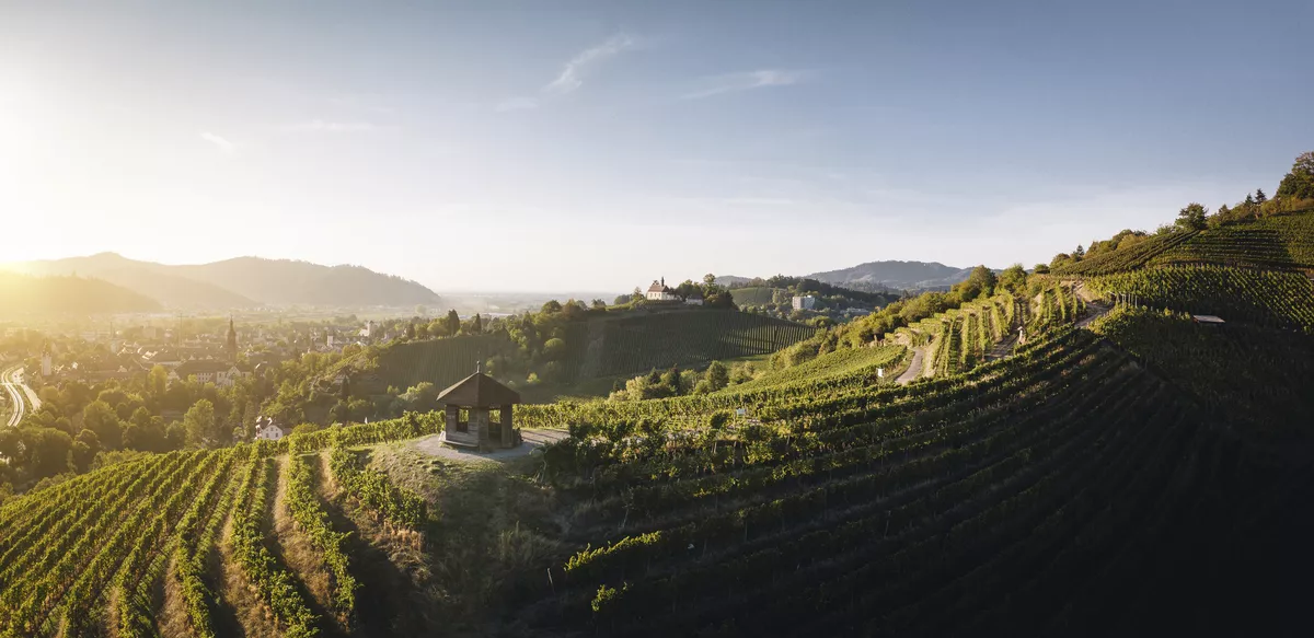 Badische Weinstrasse - © Chris Keller Schwarzwald Tourismus