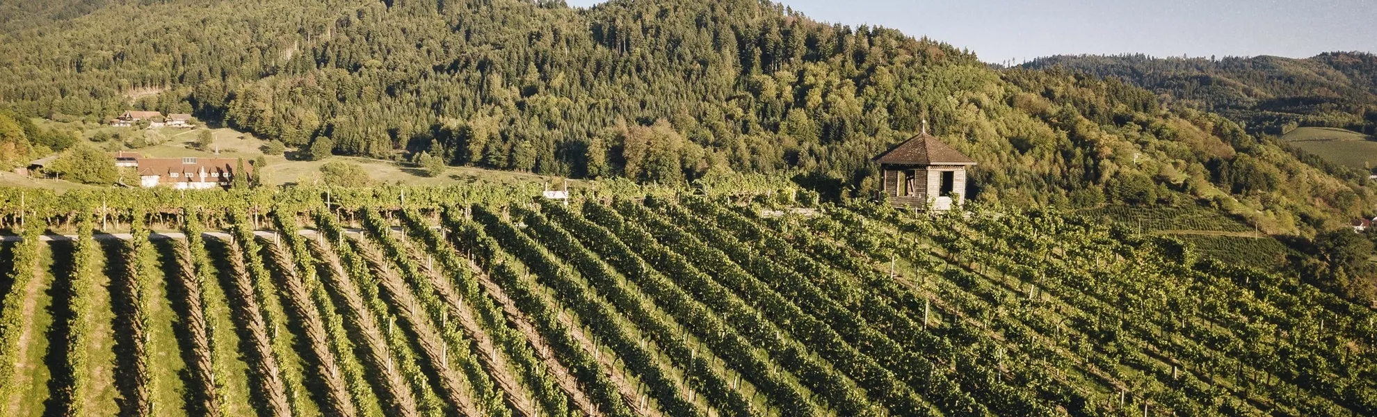 Badische Weinstrasse - © Chris KellerSchwarzwald Tourismus