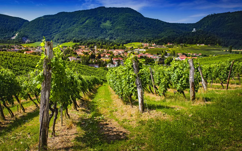 Slovenske Konjice - © asafaric - stock.adobe.com