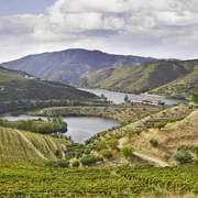 Dourotal