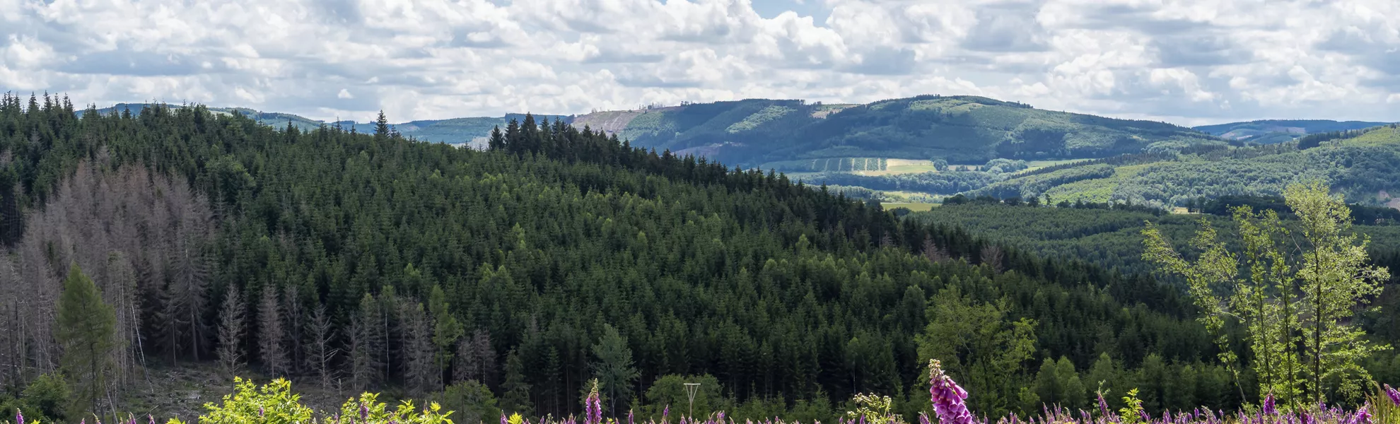Hubertushöhe Cochem