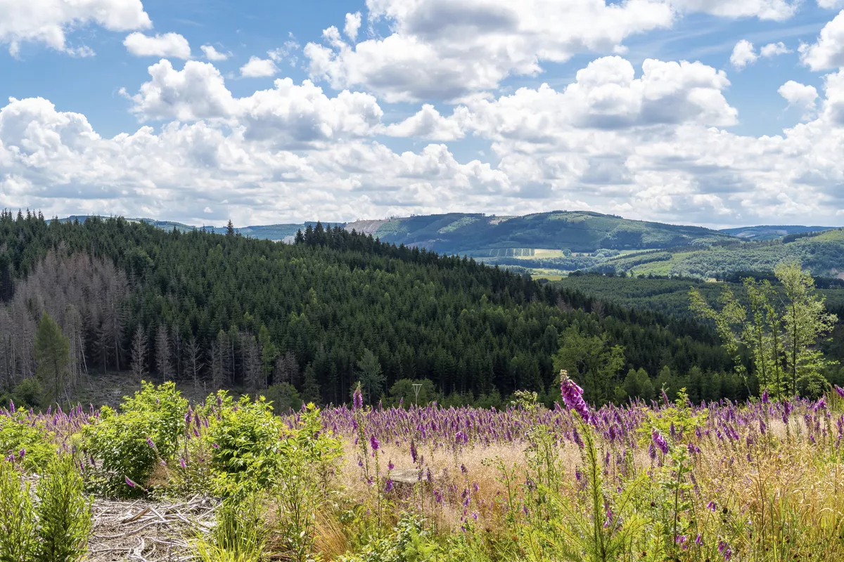 Hubertushöhe Cochem