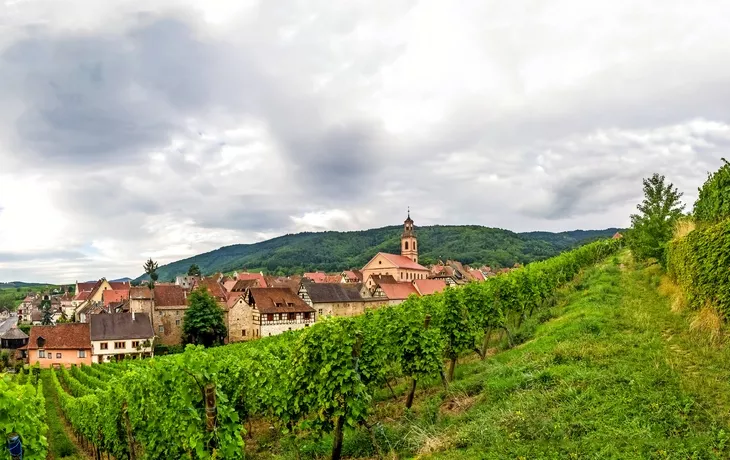 © pure-life-pictures - stock.adobe - Weinberge im Elsass