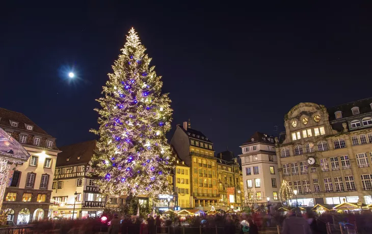 Christmas tree at Place Kleber in Strasbourg, 
