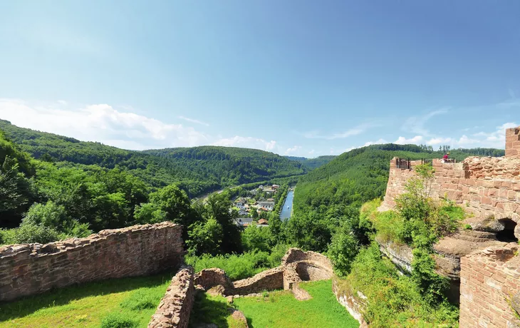 Schloss Lutzelbourg - © 