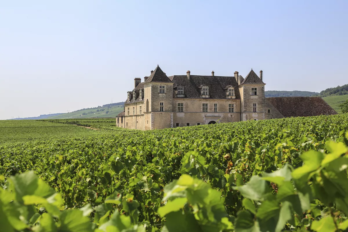 Schloss «Clos de Vougeot» - © blickwinkel2511 - stock.adobe.com