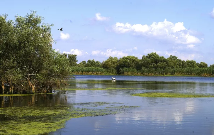 Tortuguero National Park - © henk bogaard - stock.adobe.com