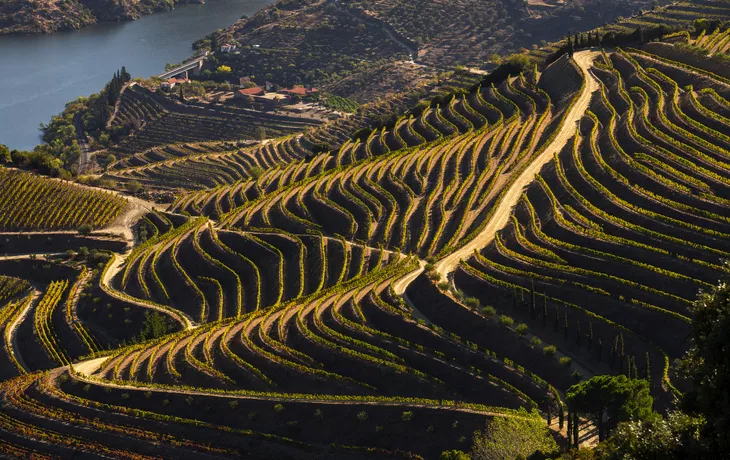 © bruno ismael alves - stock.adobe.com - Kulturerbe der UNESCO: die wunderschönen endlosen Reihen der Weinberge des Douro-Tals
