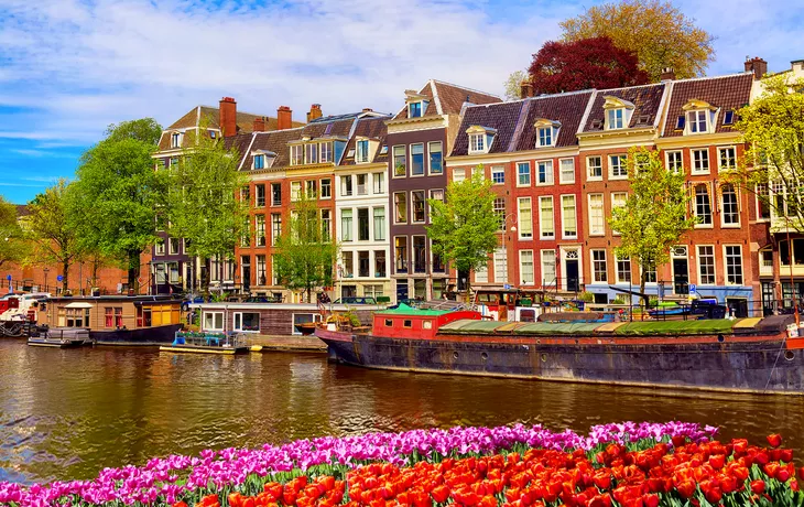 © Nikolay N. Antonov - stock.adobe.com - Amsterdam im Sommer