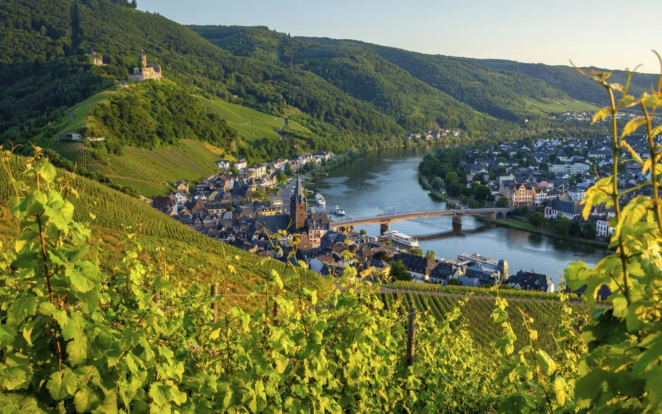 Blick über Bernkastel