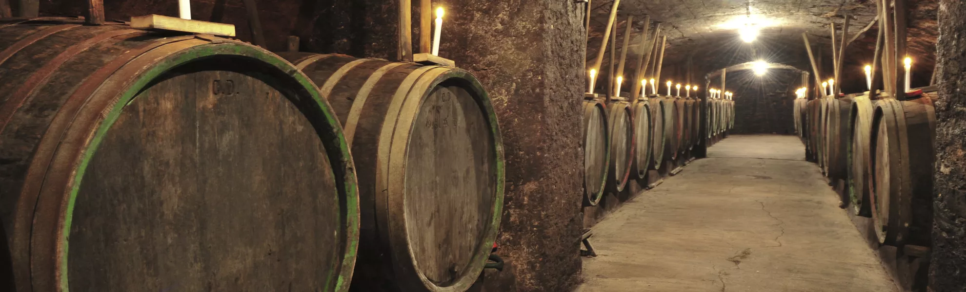 Weinkellergewölbe «Unterwelt» - © Eric Nehrbass