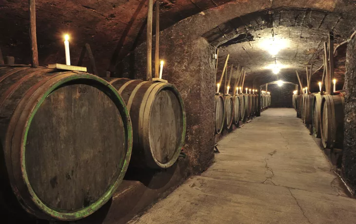 © Eric Nehrbass - Weinkellergewölbe «Unterwelt»