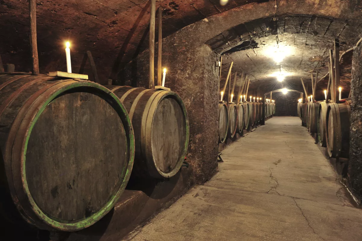 Weinkellergewölbe «Unterwelt» - © Eric Nehrbass